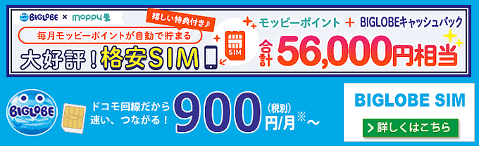 モッピー経由BIGLOBEsim契約がお得